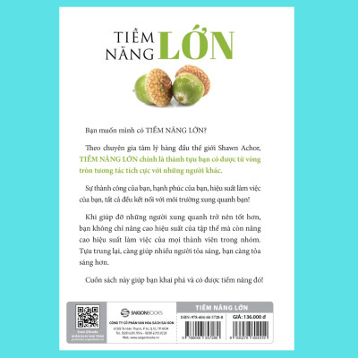 Tiềm năng lớn - Đừng đi nhanh một mình, hãy lớn mạnh cùng nhau (Big Potential) - Tác giả: Shawn Achor