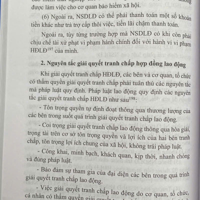 Hợp Đồng Trong Lĩnh Vực Lao Động 