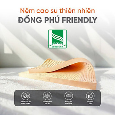 Nệm Cao Su Một Mặt Lỗ Đồng Phú DPCS1615 (160 x 200 x 15 cm)
