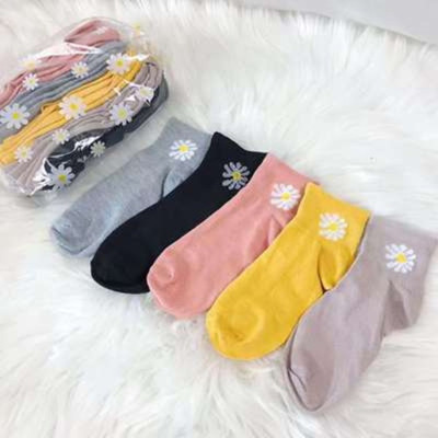 Set  10 đôi tất gấu  , hoa cúc  nữ ,cổ ngắn nhiều màu dễ thương vải cotton đẹp và bền kèm túi dây rút xinh xắn cute cho phái nữ