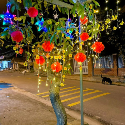 Đèn lồng trang trí nhà cửa Chữ Phúc 20cm - chất liệu nilon chống thấm nước