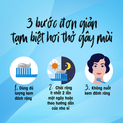 Combo 3 Kem đánh răng Closeup thơm mát bất tận bạc hà the mát 230g