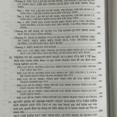 Sách Quy Định Chi Tiết Thi Hành Luật Phòng Chống Ma Tuý – Luật Xử Lý Vi Phạm Hành Chính về Cai Nghiện Ma Tuý - V2436A