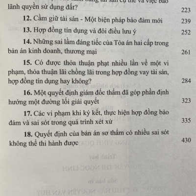 Pháp Luật Dân Sự kinh Tế Và Thực Tiễn Xét Xử ( Tập 1 )