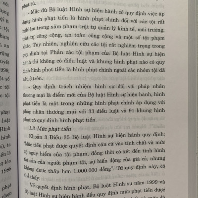 Hình Phạt Tiền Trong Pháp Luật Hình Sự Việt Nam Và Thực Tiễn Áp Dụng (Sách Chuyên Khảo)
