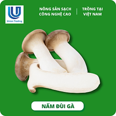 Nấm Đùi Gà Việt Nam 500g - Ngon Ngọt, Giòn Dai - Trồng Tại Nhà Máy Công Nghệ Cao Bắc Âu, Đak Lak