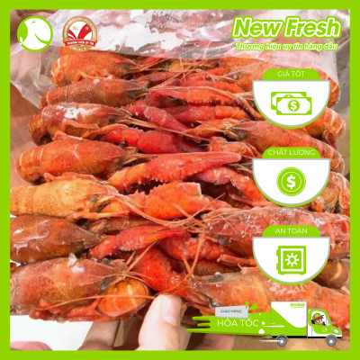 [GIAO NHANH HCM] Tôm Hùm Đất Crawfish Size Nhỏ - Túi 2.5Kg