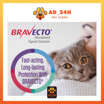 Bravecto for cat nhỏ gáy trị ve rận, bọ chét tận gốc cho mèo