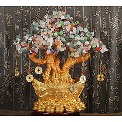 Cây kim tiền, cây tài lộc, cây phong thủy - Mẫu 4