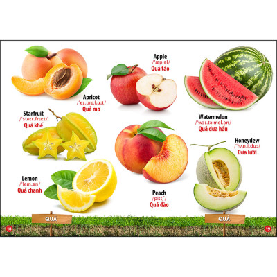 Combo 3: Cuốn Thế Giới Động Vật - Hoa Quả Rau Củ - Phương Tiện Giao Thông