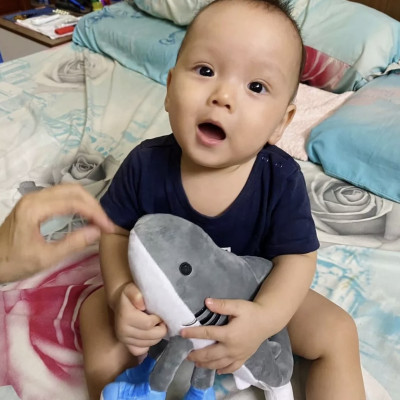 Gấu bông tung tung tung sahur rẻ tralalero tralala gấu bông brain rot lirili larila ship HOẢ TỐC HCM