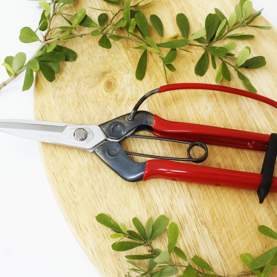 Kéo tỉa cành cao cấp Nhật Bản Chikamasa T-710GDX