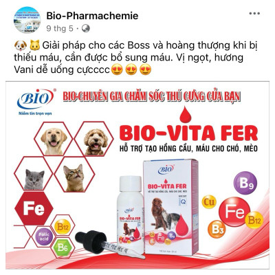 Siro Bio Vita Fer tạo máu, bổ sung vitamin và khoáng chất cho chó mèo