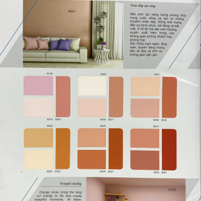 Sơn phào chỉ trong và ngoài nhà Toa 4 Seasons Tropic Shield màu Trắng_1L