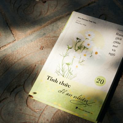 Sách - Tỉnh Thức Để An Nhiên - Tập 20 - Tuyển Tập Ranh Giới Giữa Mê Và Ngộ - Đại sư Tinh Vân - Vĩnh Nghiêm Books