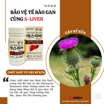 Combo 2 Hộp Thực Phẩm Bảo Vệ Gan S-Liver Thanh Nhiệt Giải Độc (2 Hộp X 180 Viên)