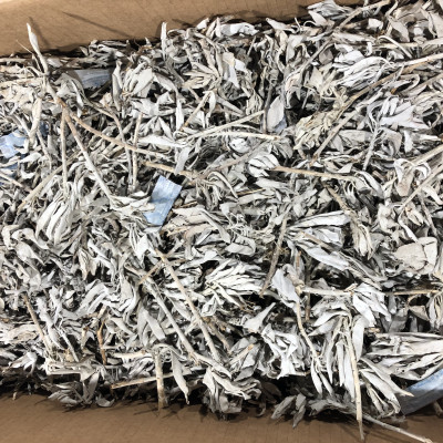 Xô thơm trắng white sage nguyên cành lá thanh tẩy nhà cuawr