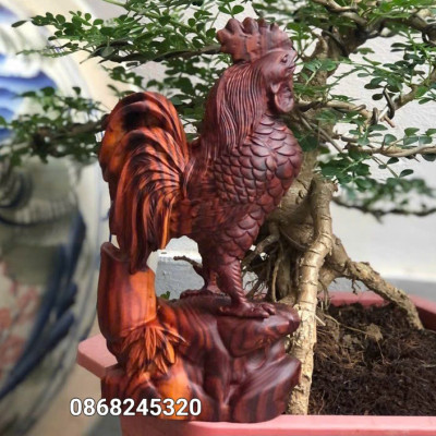 Tượng con gà trống phong thủy bằng gỗ trắc kt cao 20cm  