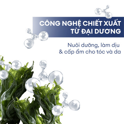 Combo 2 chai Sữa tắm gội 2 in 1 nuôi dưỡng tóc và làn da Men Stay Simplicity Hair and Body Advanced Adventurer 250ml