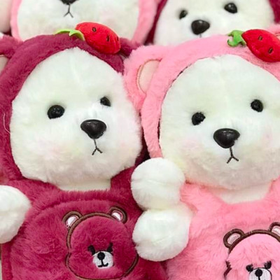 Gấu bông Teddy mặc yếm - Size 30cm - Áo có thể cởi ra - Quà tặng gấu bông gấu dâu mặc yếm.