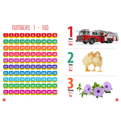 Từ Điển - Thư Viện hình Ảnh Đầu tiên của bé - Thế Giới Động Vật - Chữ Cái Và Số Đếm - Hoa Rau Củ Quả ( bộ 3 cuốn )