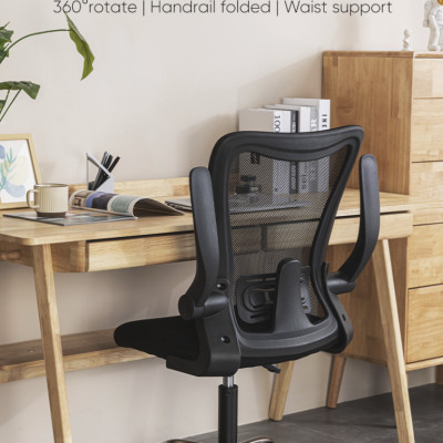 Ghế Xoay Văn Phòng Lưới Làm Việc Công Thái Học Deli - Tay Gập Thông Minh, Có Chỉnh Lưng, Lưới Thoáng Khí, Chân Xoay Tiện Ích, Đệm Ghế Êm Aí, Nhiều Màu - Phù Hợp Học Sinh, Văn Phòng, Game Thủ, Gaming - Hàng chính hãng
