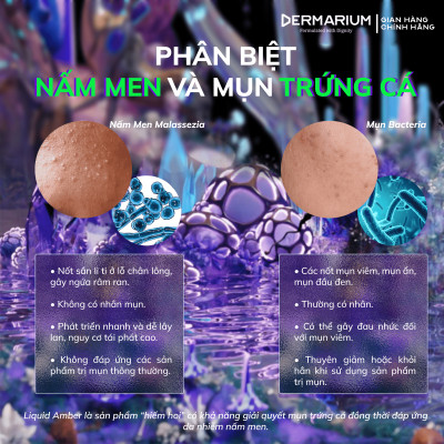 Serum (Tinh Chất) Giảm Viêm Cho Da Mụn Dermarium Liquid Amber