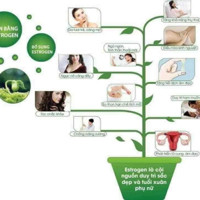 BỘT MẦM ĐẬU NÀNH NGUYÊN CHẤT MẸ KEN 1ký - nở nang săn chắc vòng 1, giảm nám sạm da