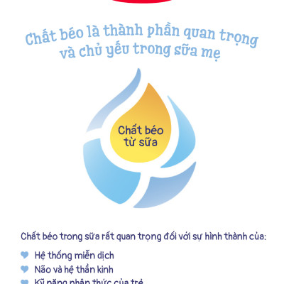 Sữa bột công thức Semper Bifidus số 2 400g