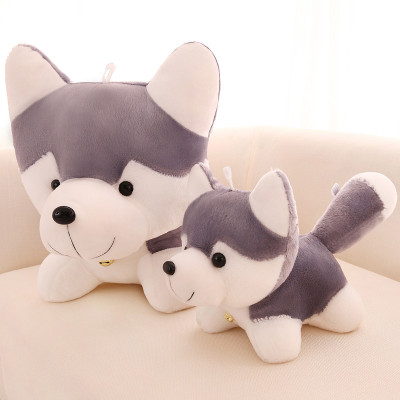  Gấu bông chó Husky đeo chuông dễ thương siêu mềm siêu cưng (20cm--->50 cm) Gối ôm chó husky đáng yêu hàng xịn cao cấp an toàn cho trẻ nhỏ
