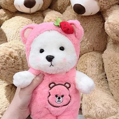 Gấu bông Teddy mặc yếm - Size 30cm - Áo có thể cởi ra - Quà tặng gấu bông gấu dâu mặc yếm.