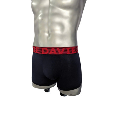 Quần Lót Nam Thương Hiệu Davie Boxer Dv2205 Bản Lưng 4.0 Cm Mạnh Mẽ Và Chắc Chắn