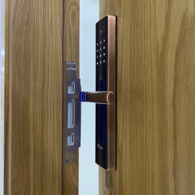 Khóa vân tay thông minh DEMAX SL630 AC