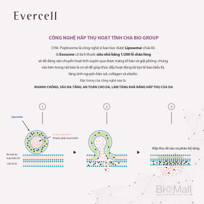Ampoule Nâng cơ Đàn hồi Săn chắc Trắng sáng da Công nghệ Tế bào gốc EVERCELL Radiance Lifting 15ml 
