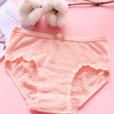 COMBO 05 QUẦN LÓT NỮ TĂM TRE HQ SIÊU ĐẸP, TÔN DÁNG, THOÁNG MÁT QL1605 (Màu ngẫu nhiên)