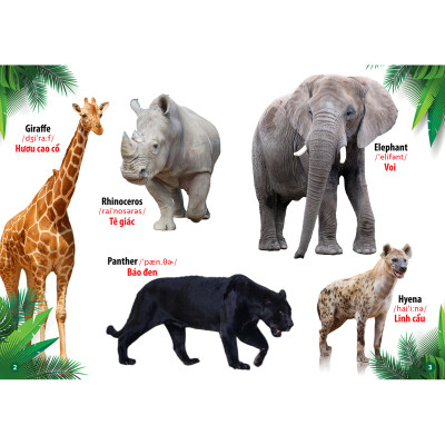 Từ Điển - Thư Viện hình Ảnh Đầu tiên của bé - Thế Giới Động Vật - Chữ Cái Và Số Đếm - Hoa Rau Củ Quả ( bộ 3 cuốn )