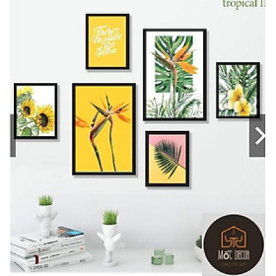 SET 6 TRANH TREO TƯỜNG TROPICAL ĐÃ CÓ KHUNG