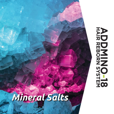 XẢ KHÔ TÁI SINH TÓC - 100ML (Addmino - 18 3 Hair Reborn Leave - In)