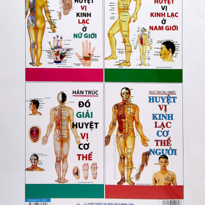 Đồ Giải Huyệt Vị Cơ Thể (ML)