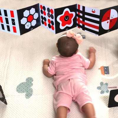 Bộ Thẻ Zigzag Lalala Baby Kích Thích Thị Giác Trí Não Cho Trẻ Sơ Sinh (0-12 Tháng)