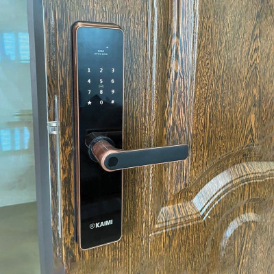 Khóa Vân Tay Kaimi BTM101 Màu Viền Đồng - Hàng Chính Hãng