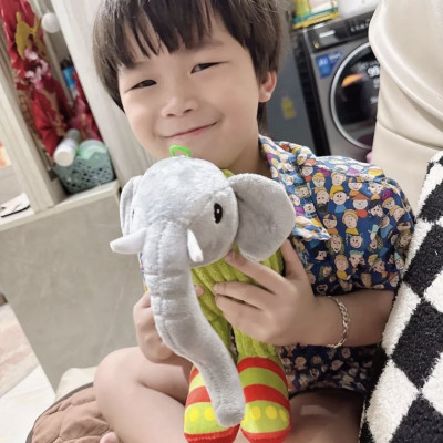 Gấu bông tung tung tung sahur rẻ tralalero tralala gấu bông brain rot lirili larila ship HOẢ TỐC HCM