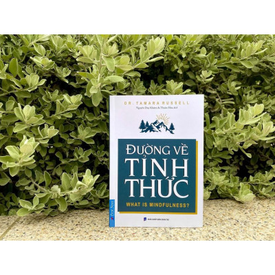 Sách - Combo Đường về tỉnh thức + Minh đạo nhân sinh - FirstNews