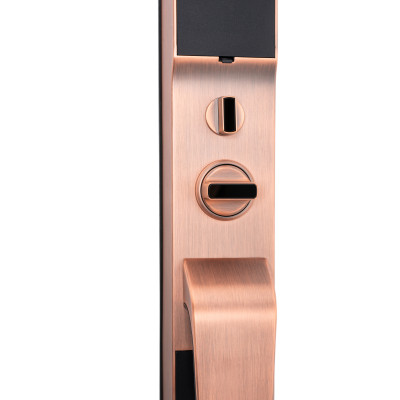 Khóa điện tử vân tay Makoto dòng Shogun A màu đồng Ngôn ngữ hoàn toàn Tiếng Việt