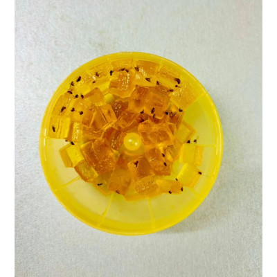 Bẫy diệt ruồi giấm ARS Fly Catcher 35g