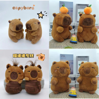 Thú nhồi bông capybara nhiều mẫu mini - Size 22cm - Quà tặng gấu bông capybara bộ trưởng hiền lành đáng yêu.