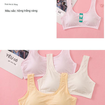 Áo Lót Nữ Học Sinh Ba Lỗ Cotton Thông Hơi Mút Liền 1376 – Êm Ái, Thoáng Mát