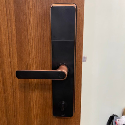 Khóa Vân Tay Kaimi BTM101 Màu Viền Đồng - Hàng Chính Hãng