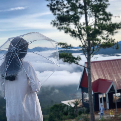 Ô dù trong suốt phong cách Hàn Quốc - Đi mưa phụ kiện chụp ảnh