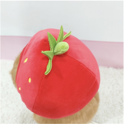 Thú nhồi bông capybara đội mũ dâu tây đáng yêu - Size từ 35cm đến 85cm - Quà tặng gấu bông capybara mang balô dâu tây trên lưng - Gối ôm chuột lang dễ thương cho bé.